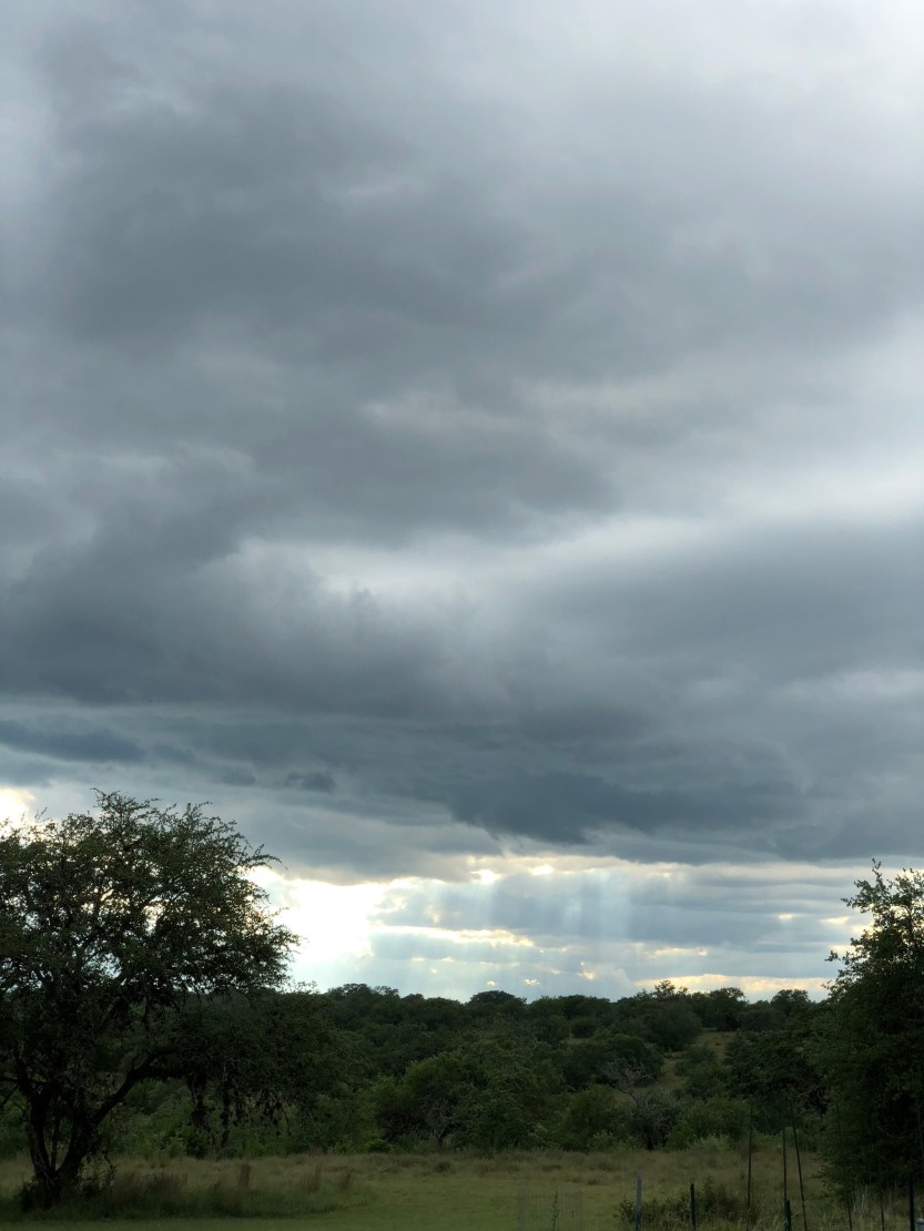 utLipK5MSGShuVm5b5oMjA